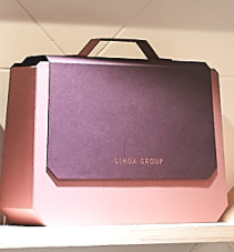 Hand-held Gift Box