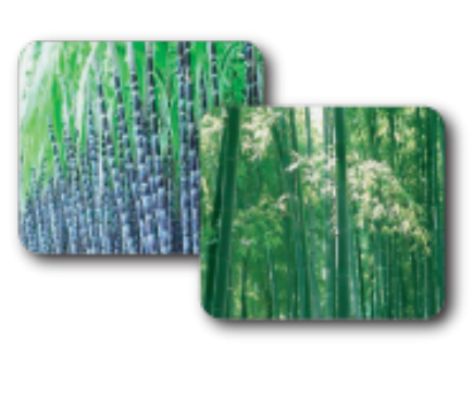molded pulp packaging materials